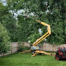 Artificial Turf Installation in Warrenville, IL