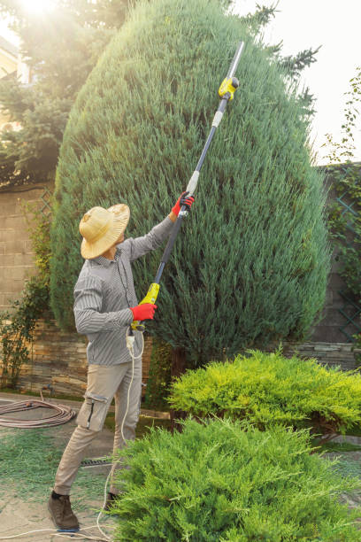 Best Tree Preservation Services  in Warrenvle, IL